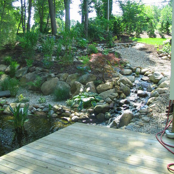 Neilish Water Garden - Branford