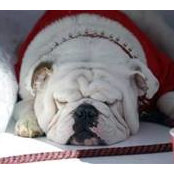 Tammy Oakes's photo