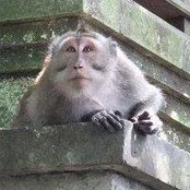 Foto de Phidik Frederick