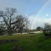 Ellen Stallings's photo
