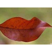 Lynne Cracknell's photo