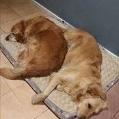 Donna Outram's photo