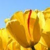 Philip Varghese's photo