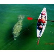 Foto de Jack McKendree