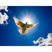Grace Avalos's photo