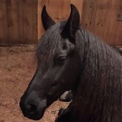 Jill Ganci's photo