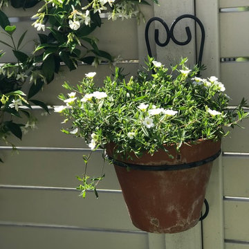 Courtyard Garden