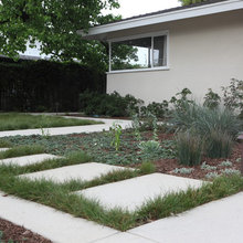 Native Plants