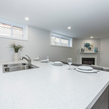 Glenview Heights Basement Apartment Conversion and Whole House Renovation