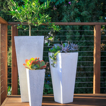 Multi-Functional Family Living Space - Succulents Add A Pop Of Color