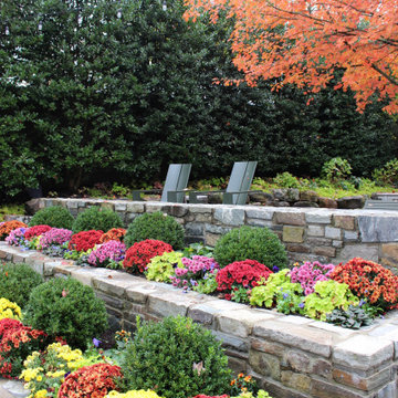 Landscaping Highlights