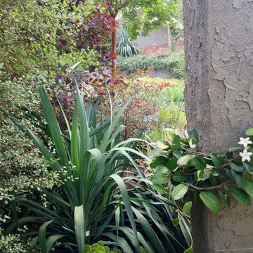 Mystical Habitat Garden