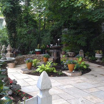 DC Back Yard Re-Programming