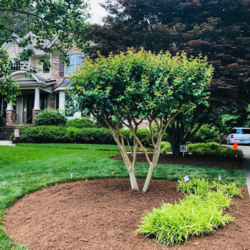 Mulching,pruning,sod, river rock, stepping stone installs
