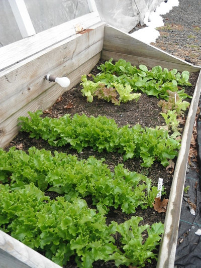 Классический Сад by Heirloom Gardens, LLC