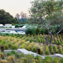 Landscape Ideas