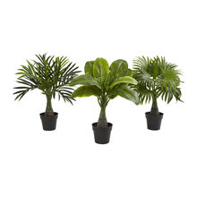 Accessories - Plants