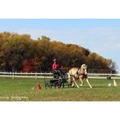 Karol Fair's photo