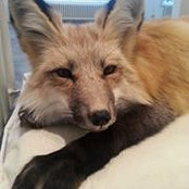 Kathryn FoxGroves's photo