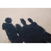 Tanya Laing's photo