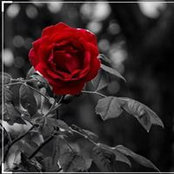 Cristina Escobar's photo