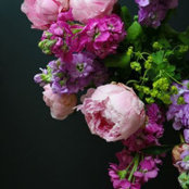 Holly Bailey's photo