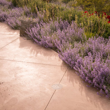 Petaluma Hilltop Garden