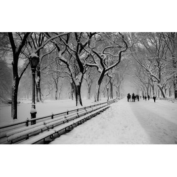 "Central Park Snow" Canvas Art, 36"x24"