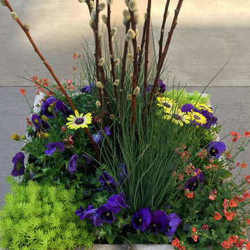 Summer Container