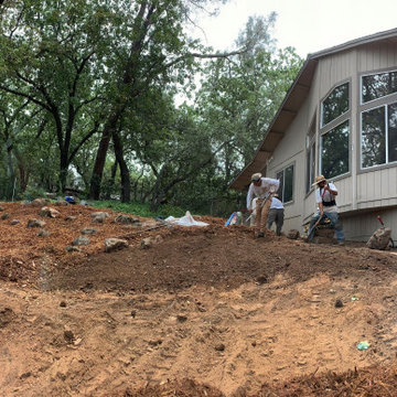 Shingle Springs Back Yard
