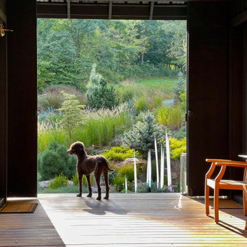 Dog Meets Dogtrot:  Sonoma Surveying the Garden