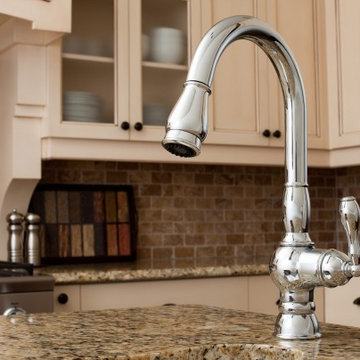 Toscani Kitchen Faucet w/ Pull down spray