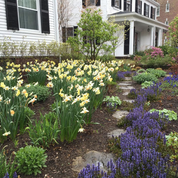 A glade of flowers replaces a Cambridge front lawn