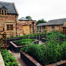 Allotment Garden