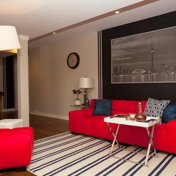 Contemporary Basement Lounge