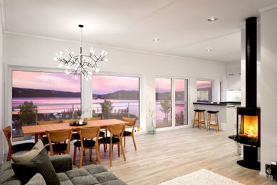 Dining room - scandinavian dining room idea in Other