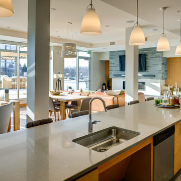 The Island Residences - Minnetonka, MN