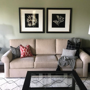 TRANSITIONAL LIVING ROOM & DINING ROOM