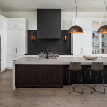 Contemporary Kitchen
