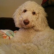 Annie Turinsky Hayes's photo