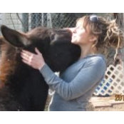 Susan Linderborg's photo