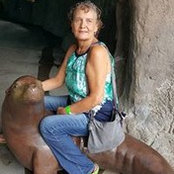 Foto von Debbie Allison