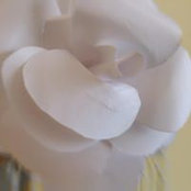 Margaret Rothenberg's photo