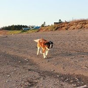 Jocelyn Daly's photo