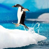Danilo Bartolucci's photo