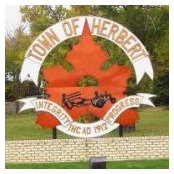 Town Herberts foto