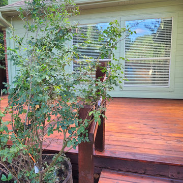 Cedar Deck + Exterior Paint in Anderson Mill