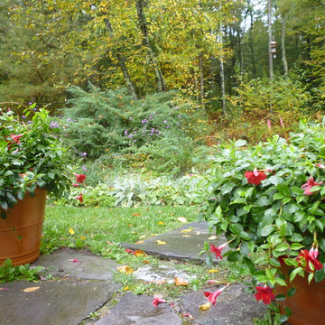 Container Design - Fall