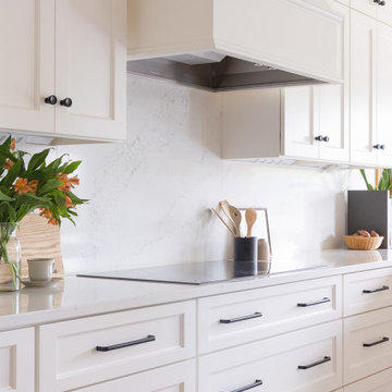 Simplistic Luxury Remodel
