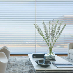 Windows - Window Blinds